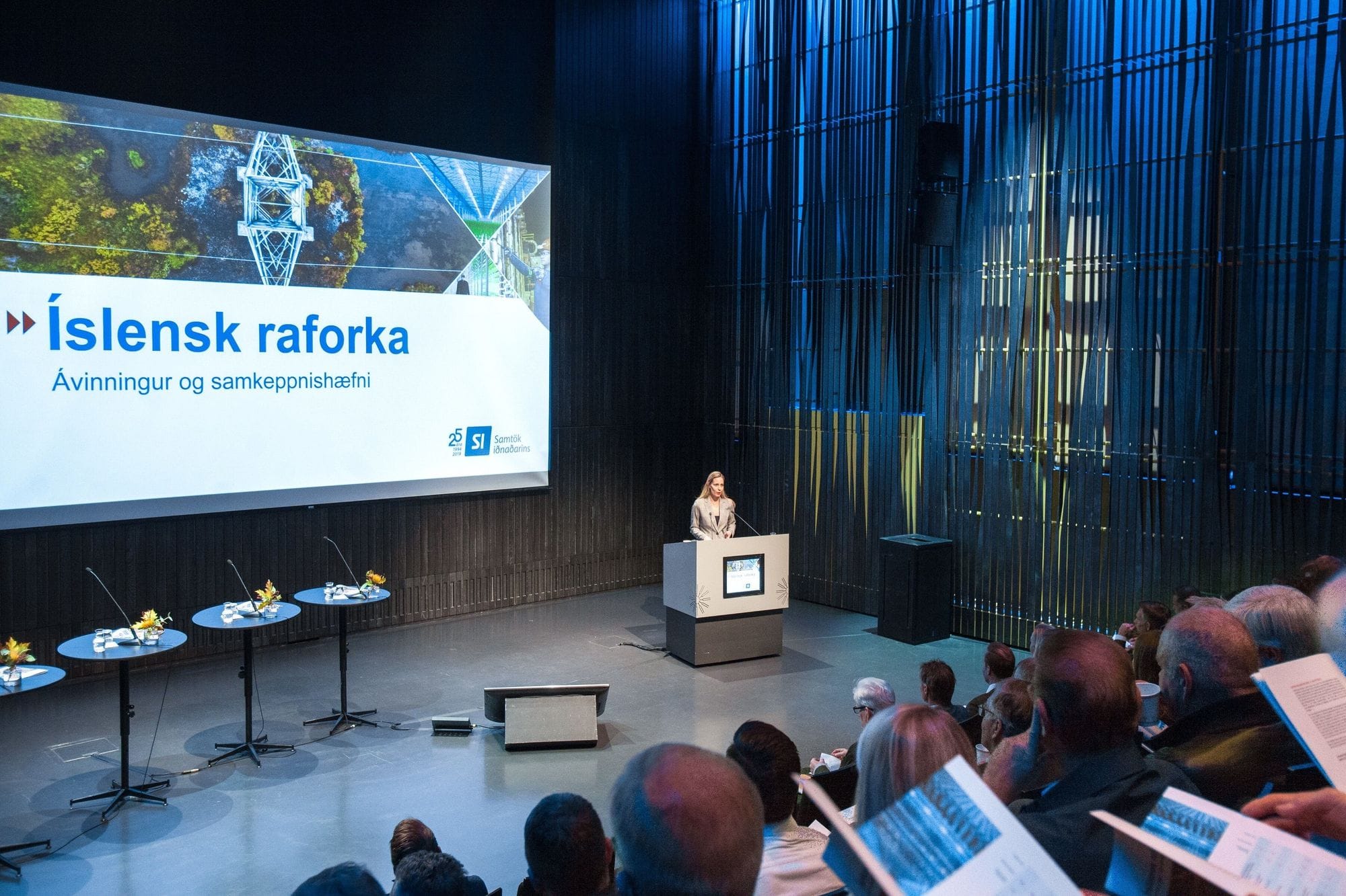 Fjölmennt á fundi SI um íslenska raforkumarkaðinn