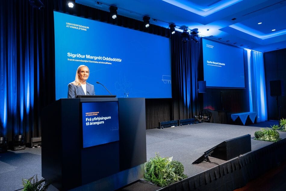 Sa_umhverfisdagurinn_2025-1